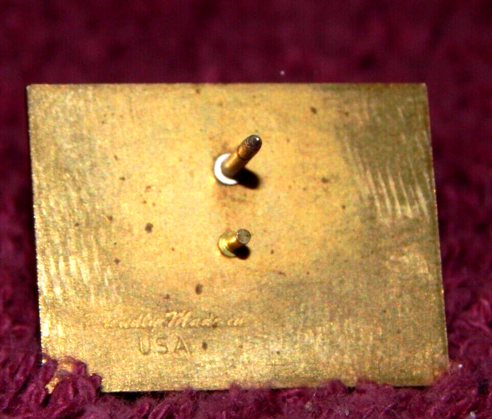 Vintage AAML Pin Lawyers Attorneys Family Law
