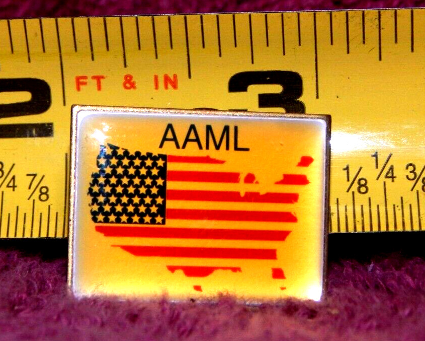 Vintage AAML Pin Lawyers Attorneys Family Law