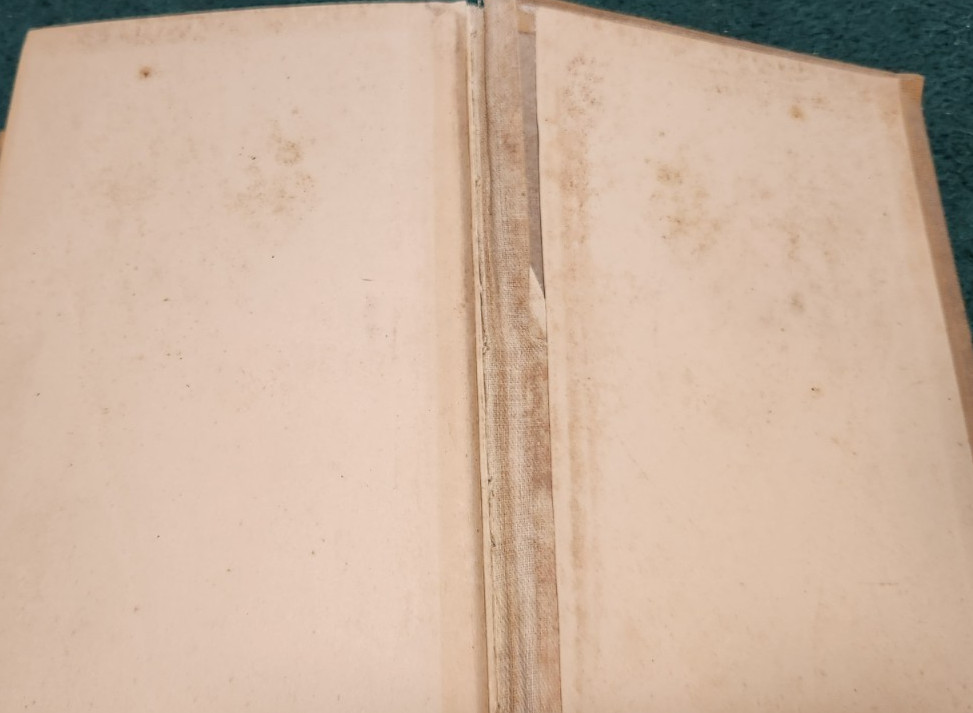 1932 JOHN BINNS Justice Magistrate Daily Companion DUELS BIGAMY Master&Servant +