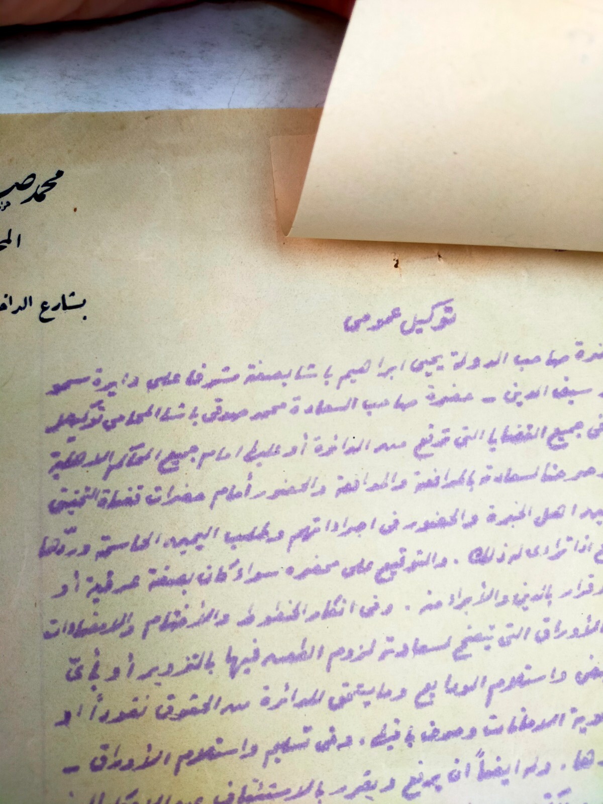 1925 Egypt Legal Power of Attorney Mohamed Sidky Pasha Seal Royal Era Document