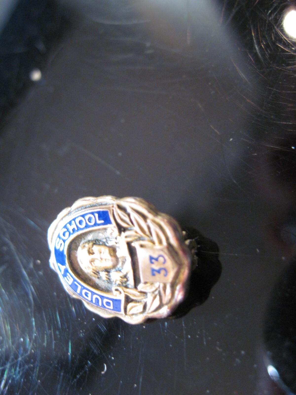 Dudley School 33 logo lapel pin