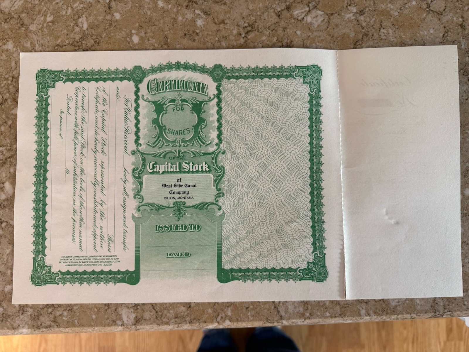 Vintage Early 20th Century West Side Canal, Dillon, MT Stock Certificate