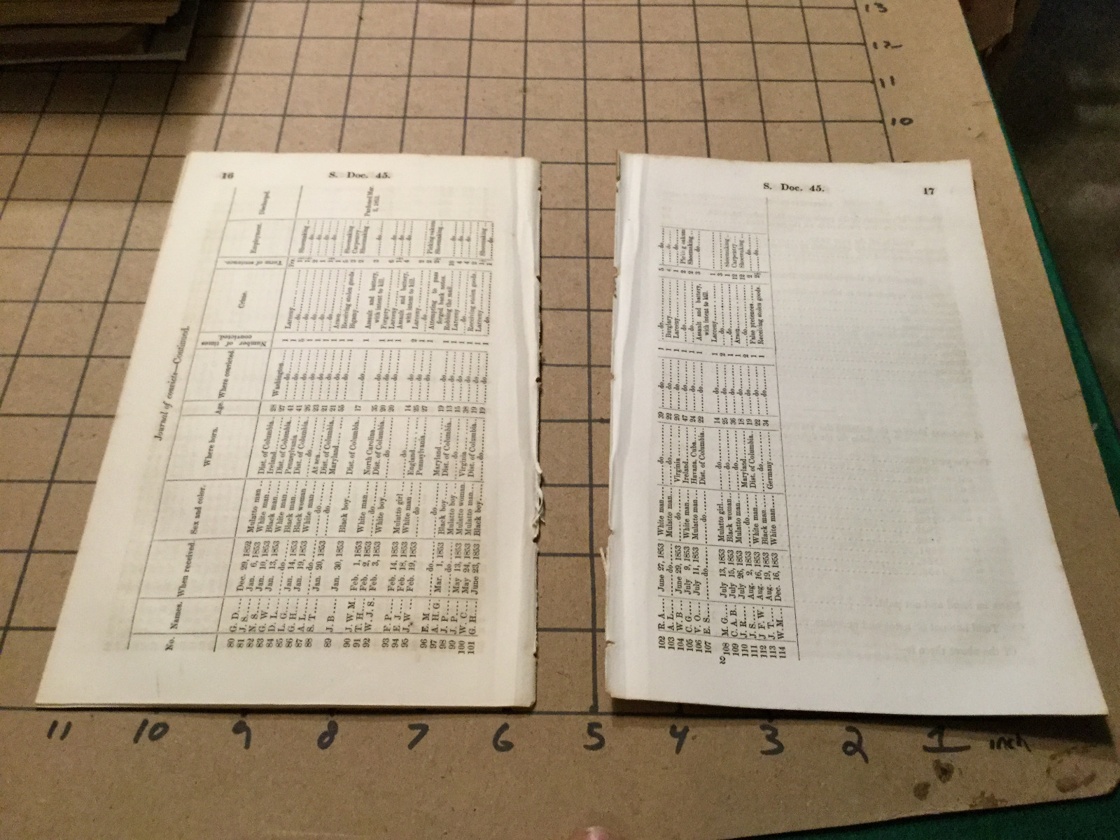 Original Booklet: 1854 Report PENITENTIARY for Washington DC 22pgs – seperated
