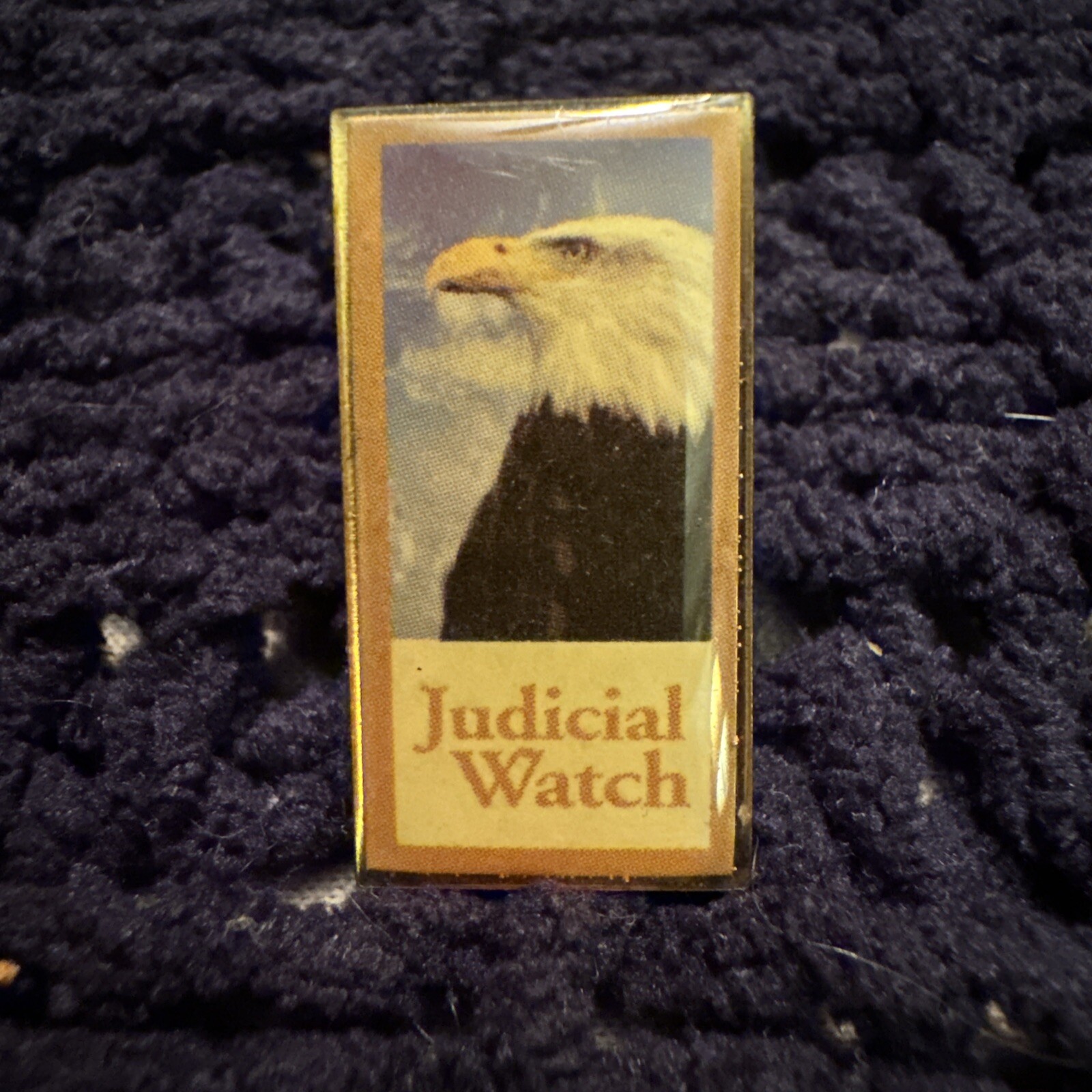 Judicial Watch Bald Eagle Pin Rare Vintage 1x.50