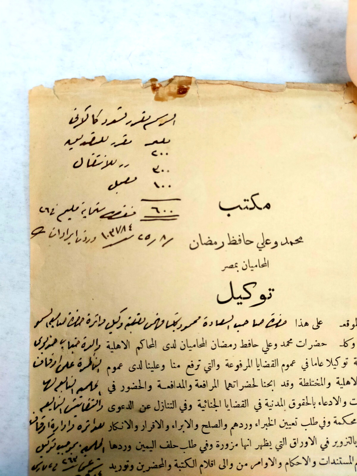 Rare 1925 Egypt Court Document Linked to Khedive Mother Royal Family Case Court