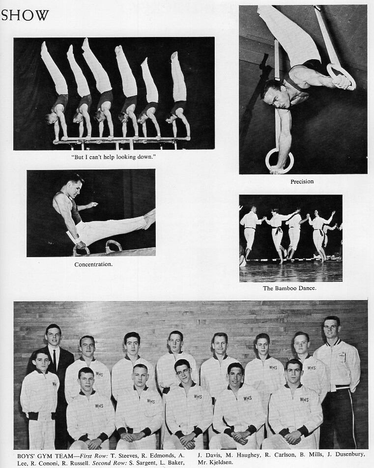 1962 Wellesley High School Yearbook Photos History Theater Sports Teenagers ++++