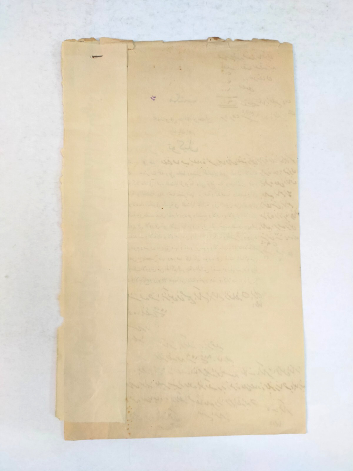 Rare 1925 Egypt Court Document Linked to Khedive Mother Royal Family Case Court