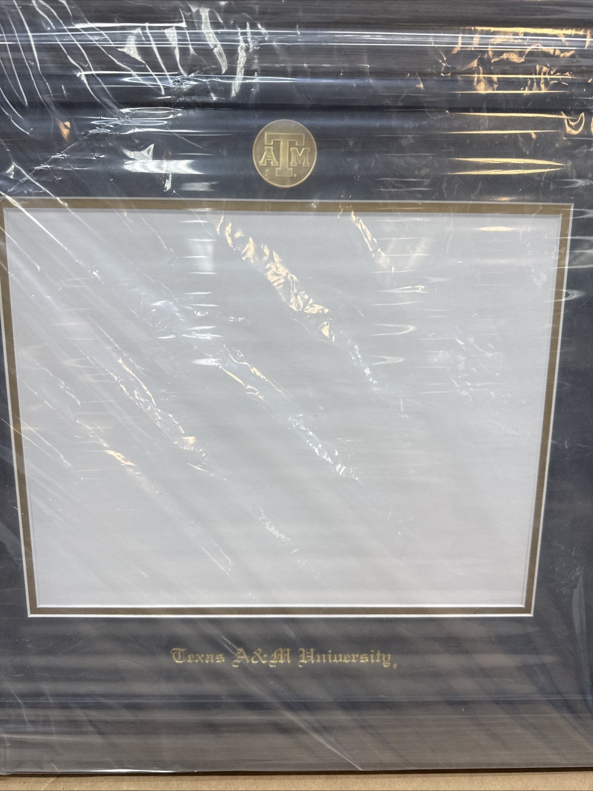 Texas A&M Framing Success Herff Jones Greystone Gold Medallion Bachelors Masters
