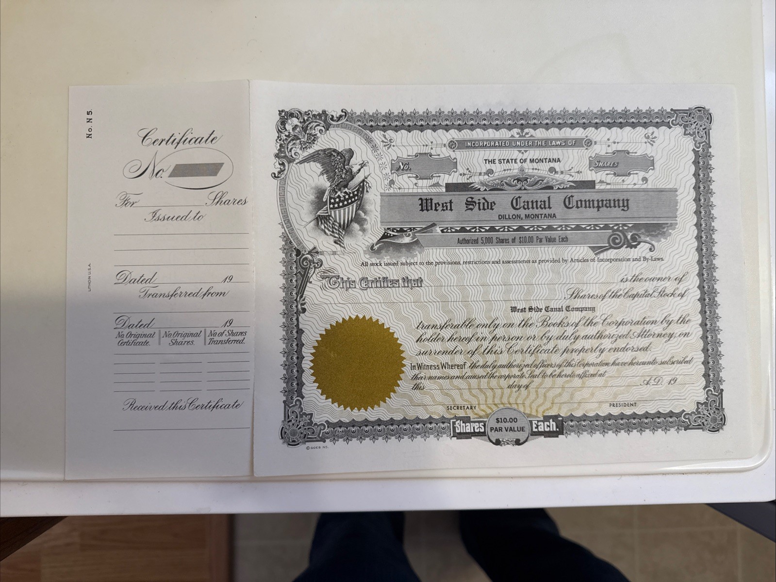 Vintage Early 20th Century West Side Canal, Dillon, MT Stock Certificate