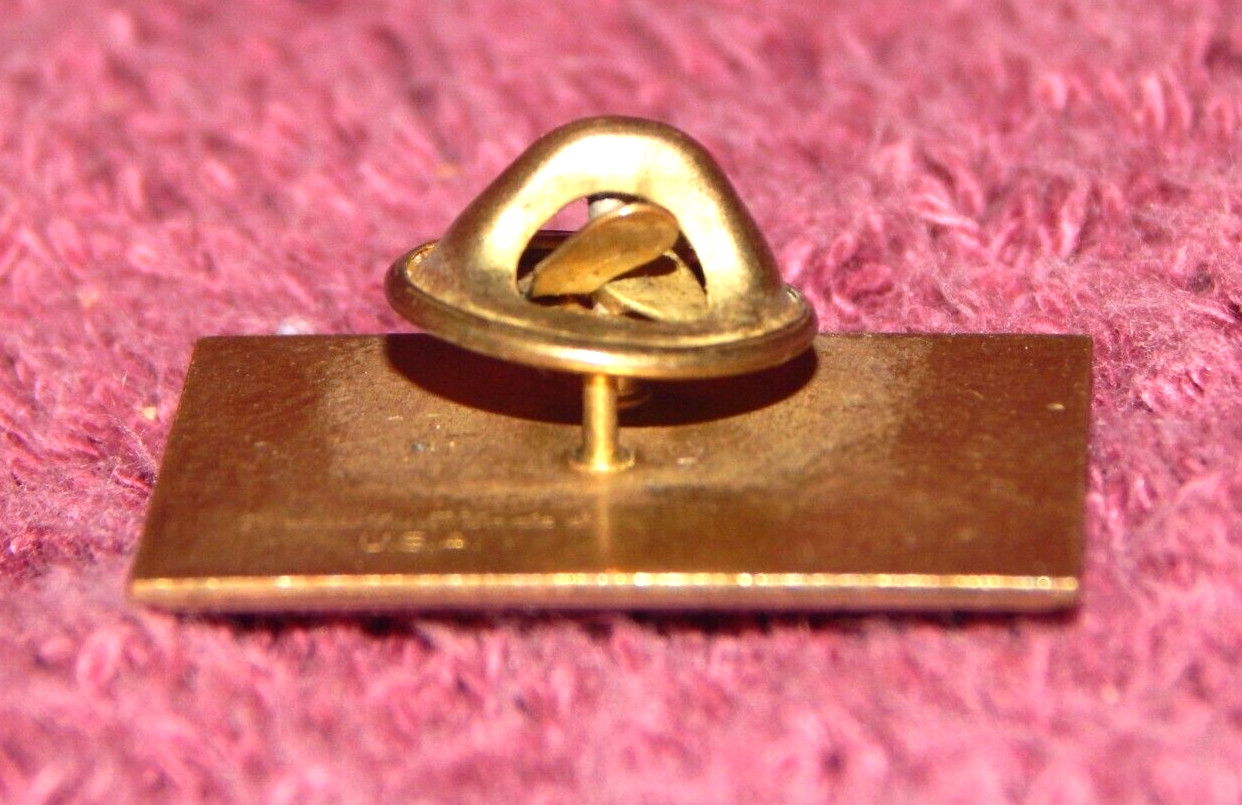 Vintage AAML Pin Lawyers Attorneys Family Law