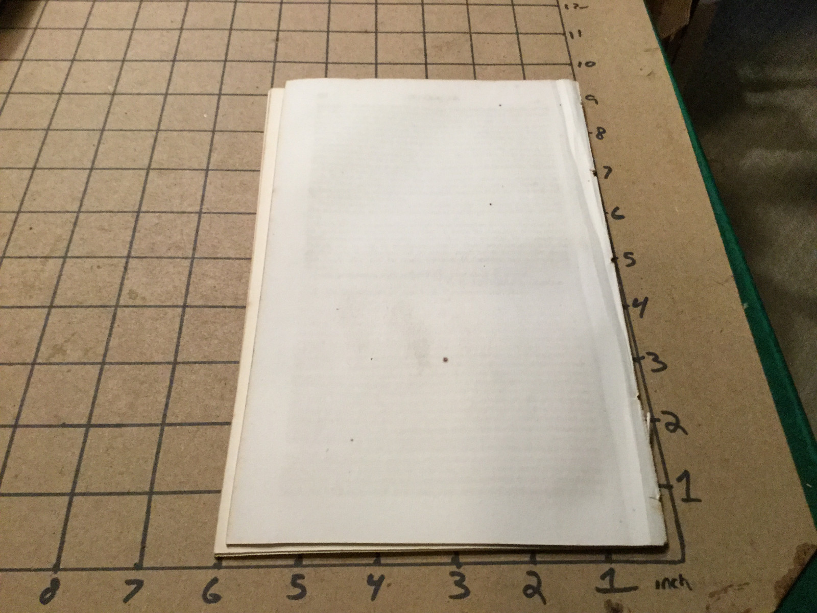 Original Booklet: 1854 Report PENITENTIARY for Washington DC 22pgs – seperated