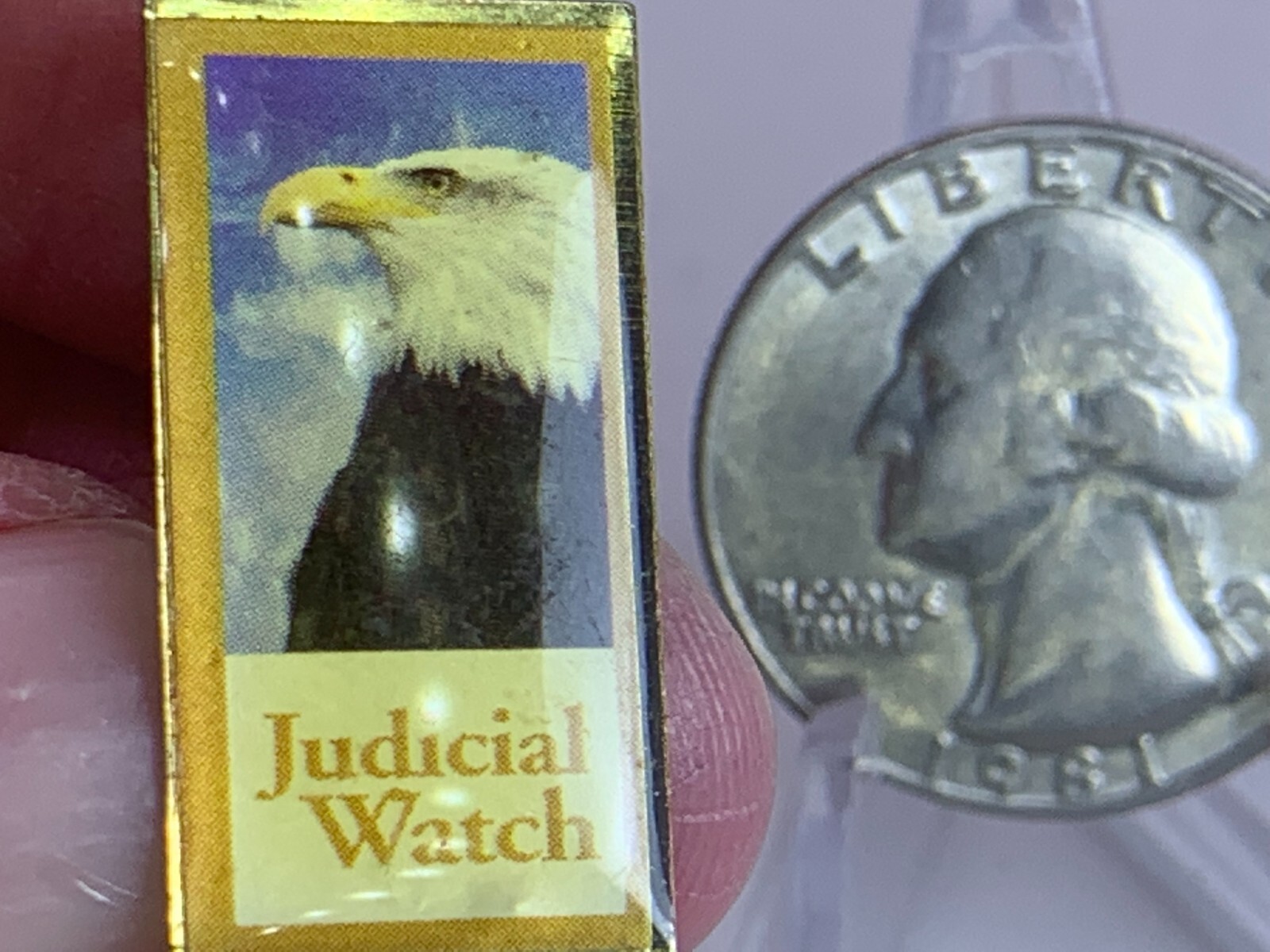 Judicial Watch American Bald Eagle Vintage Tack Pin T-4081