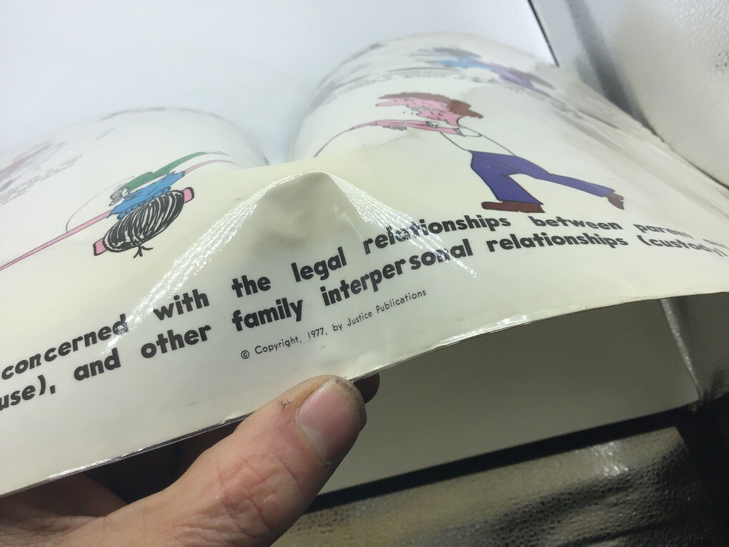 Original LAW Poster 1977 justice publications — FAMILY LAW —