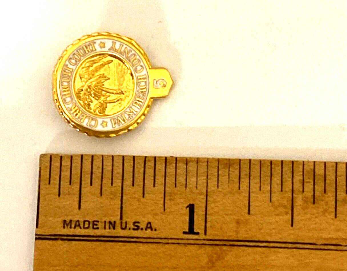 Vintage Clerk Circuit Palm Beach Cty Pin (D2)
