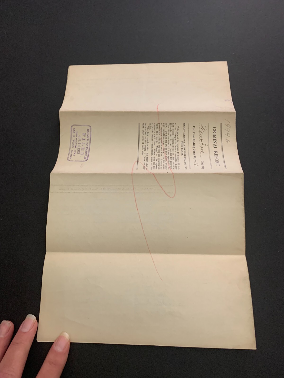 June 30 1918 Criminal Report Marshall County Iowa