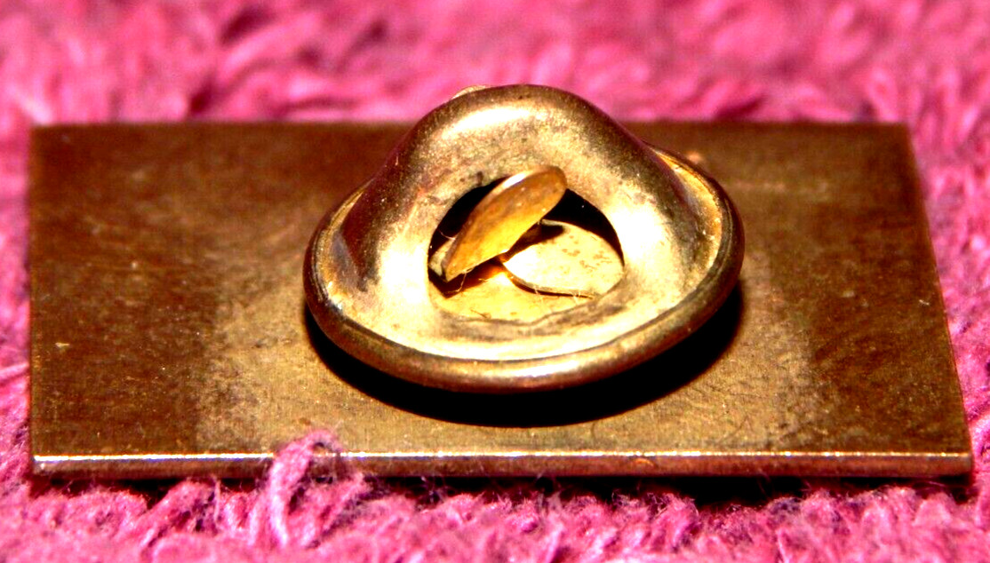 Vintage AAML Pin Lawyers Attorneys Family Law