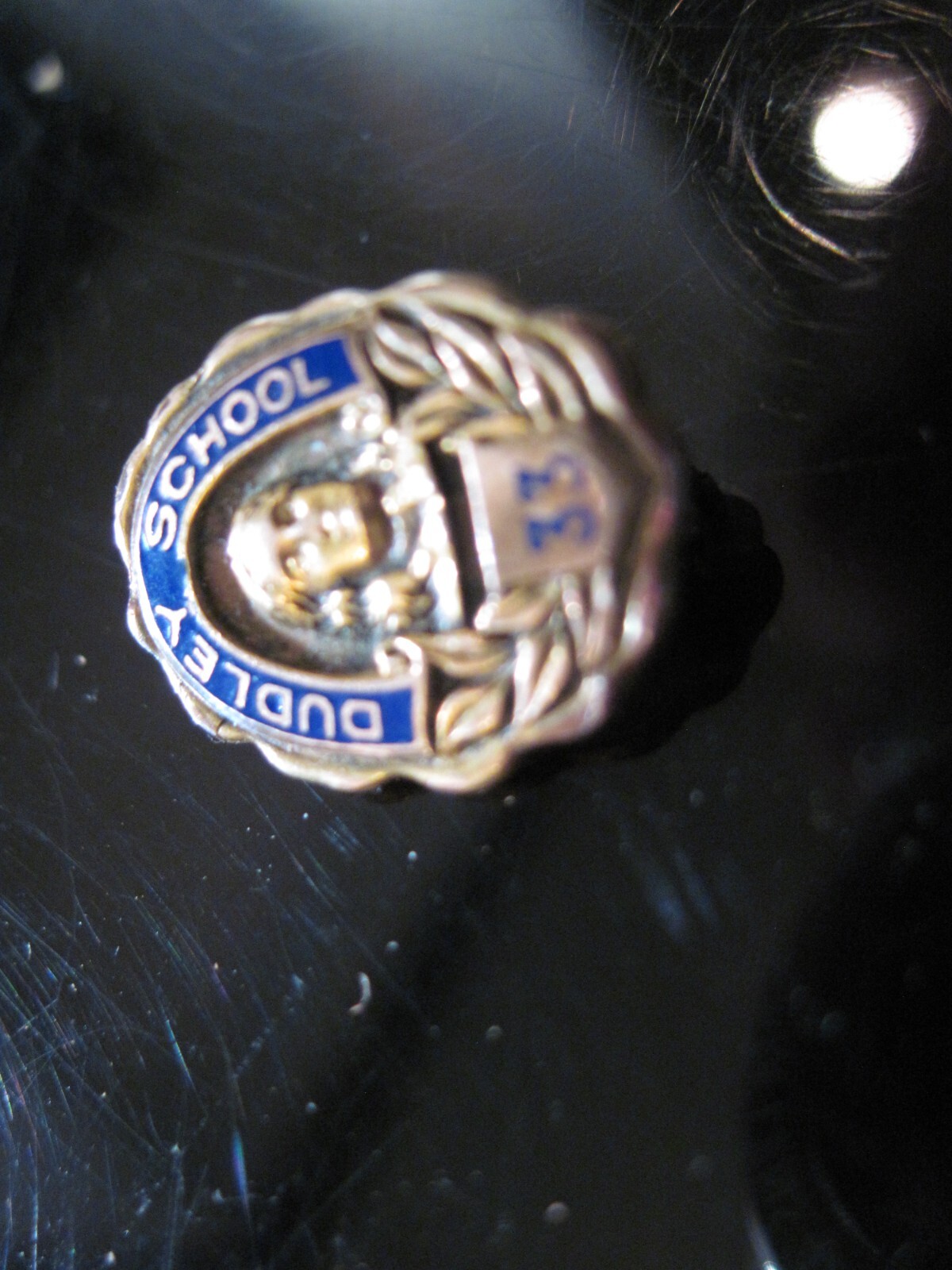 Dudley School 33 logo lapel pin