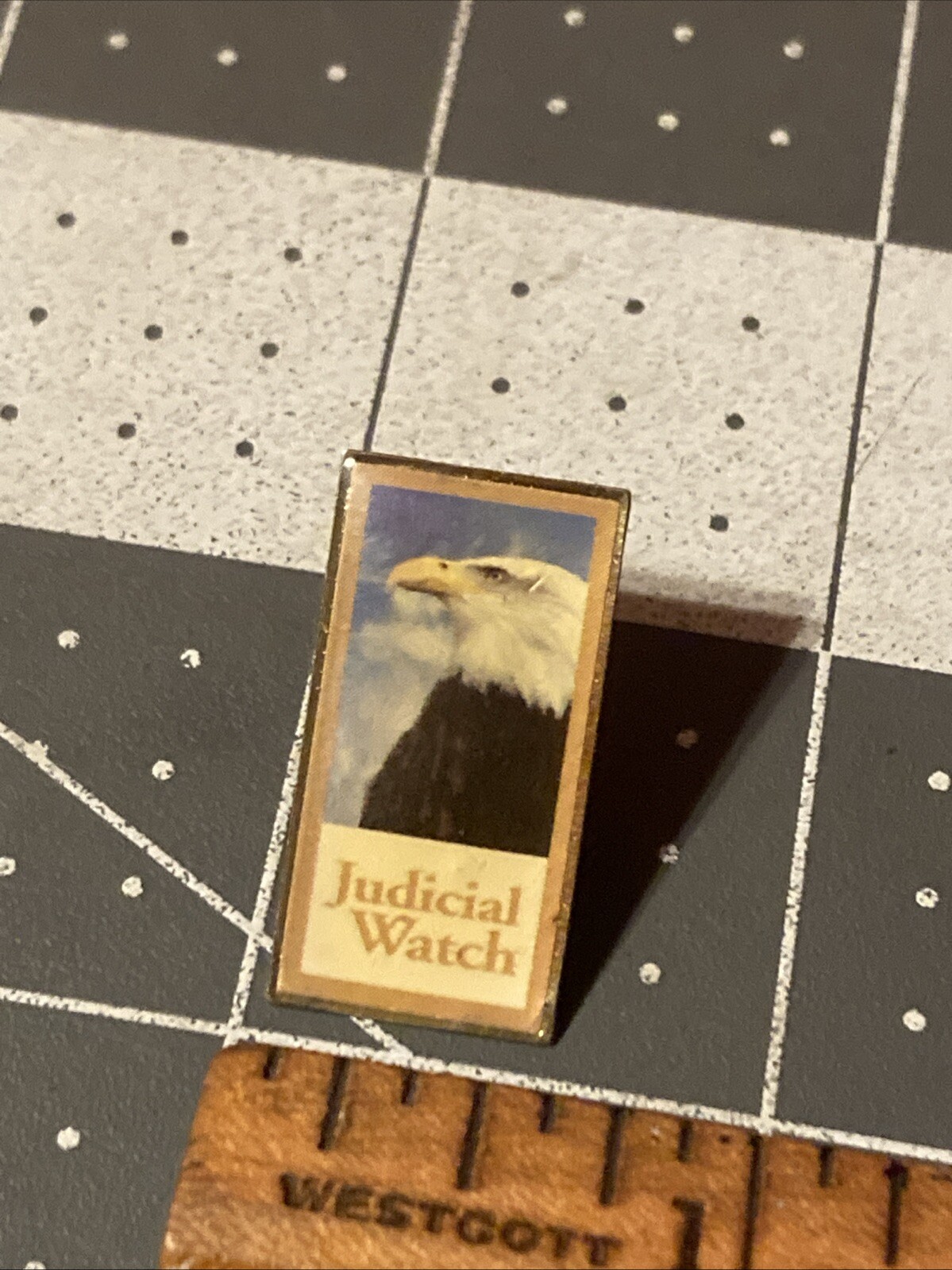 Vintage Judicial Watch Pin