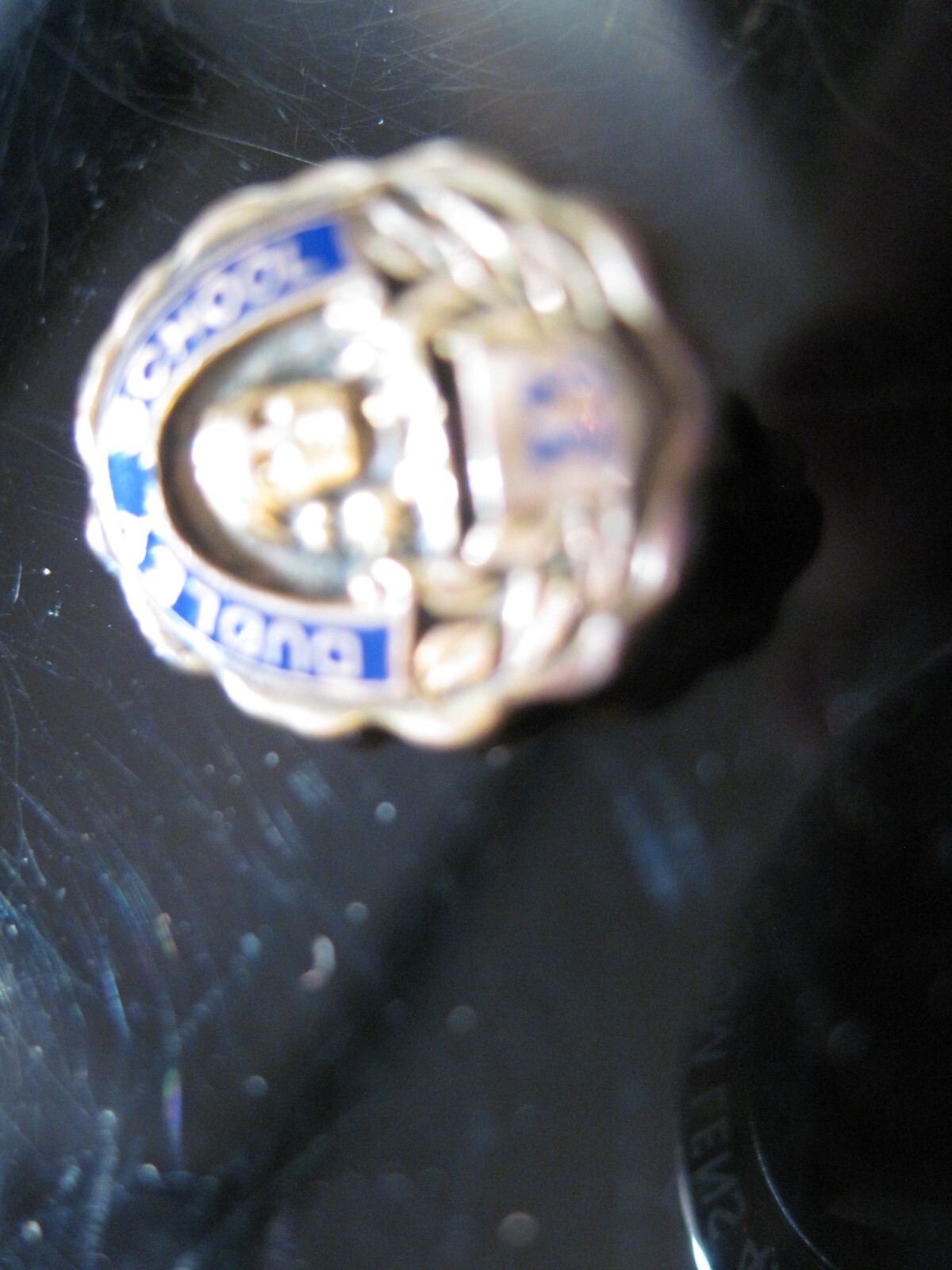 Dudley School 33 logo lapel pin