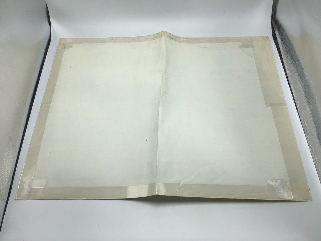 Original LAW Poster 1976 – JUVENILE RIGHTS VS. ADULT RIGHTS