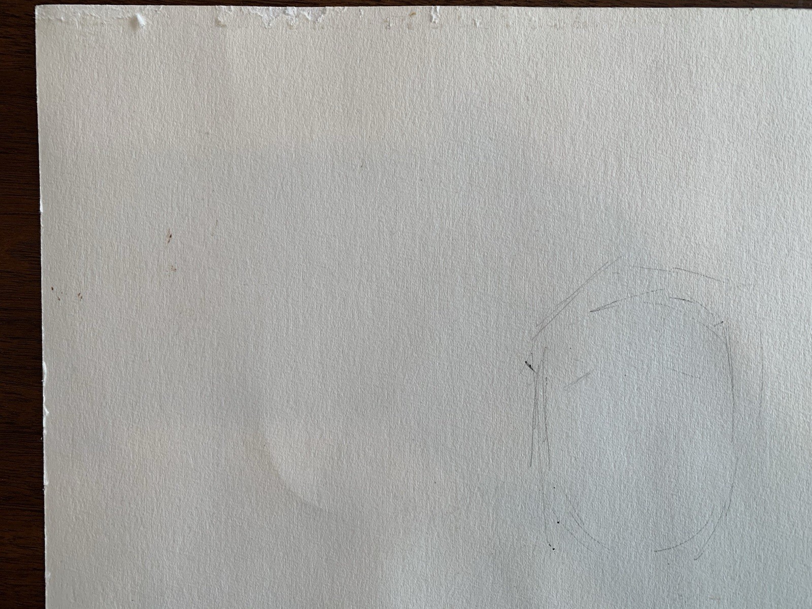 Signed Andy Austin Original «F.A.L.N.» 1981 Courtroom Watercolor Sketch Chicago