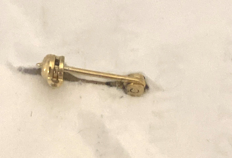 VALS Legal Professionals VA Pin (J2)